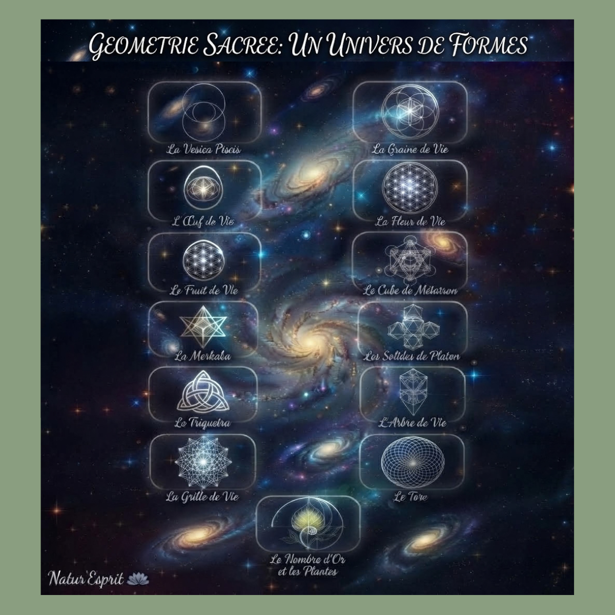 La géométrie sacrée : ces formes universelles qui relient l’art, la nature et l’énergie 📐✨