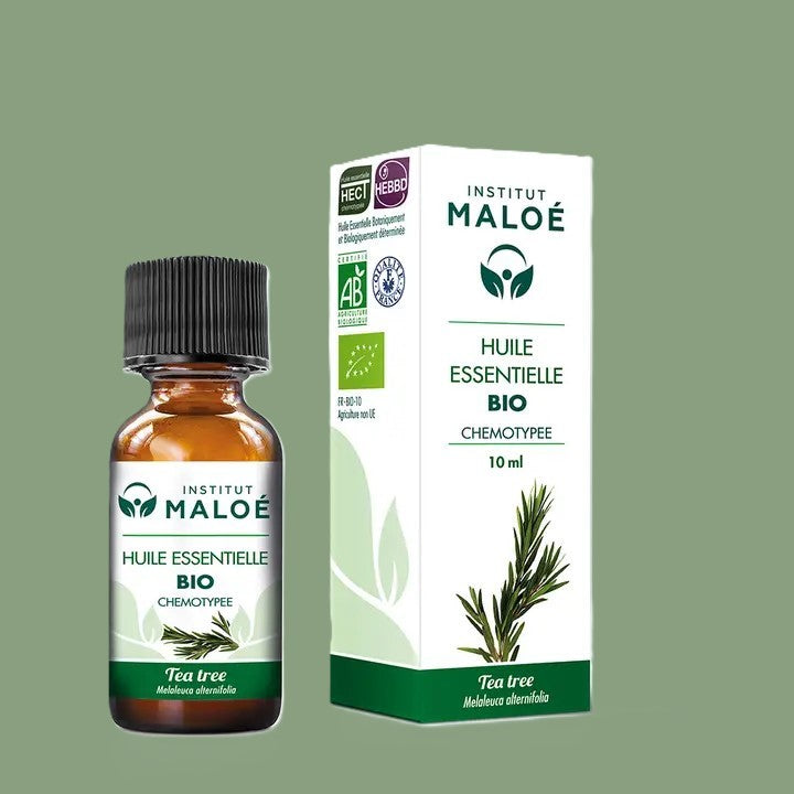 Huile Essentielle de Tea Tree (Arbre à Thé) Bio – 10 mL
