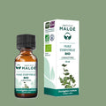 Huile Essentielle d'Eucalyptus Radiata Bio – 10 mL
