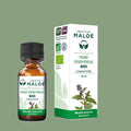Huile Essentielle de Menthe Poivrée Bio – 10 mL