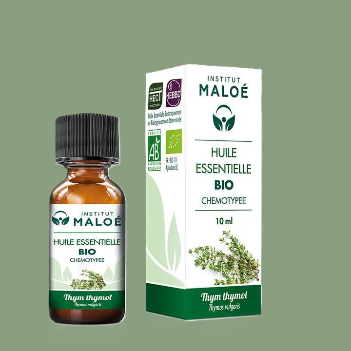 Huile Essentielle de Thym à Thymol Bio – 10 mL