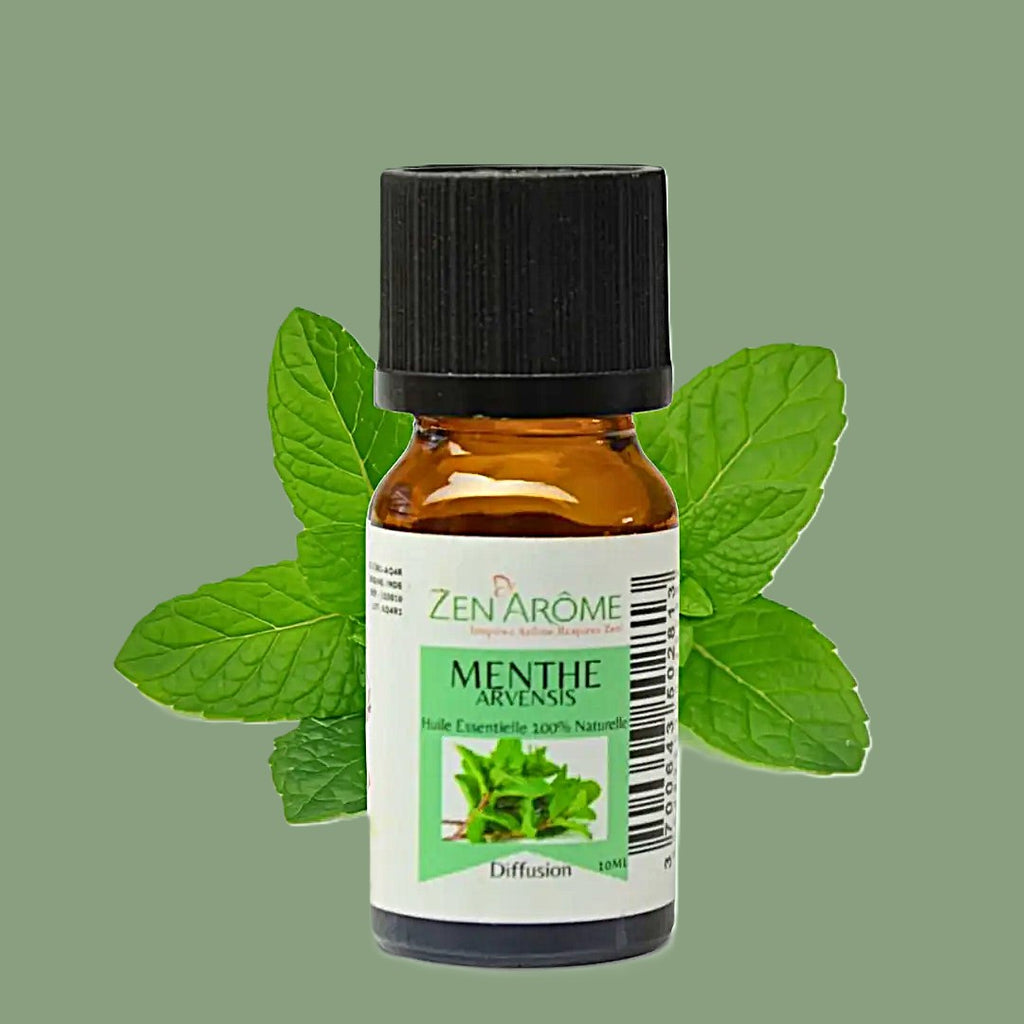 Huile Essentielle Menthe Arvensis — 100% Naturelle — 10ml