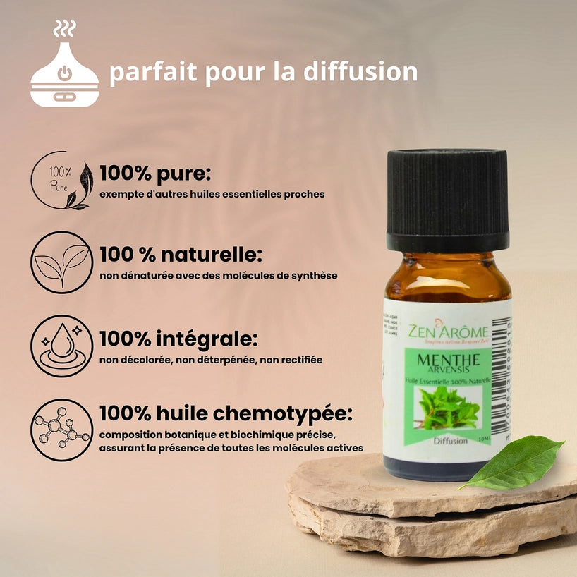 Huile Essentielle Menthe Arvensis — 100% Naturelle — 10ml