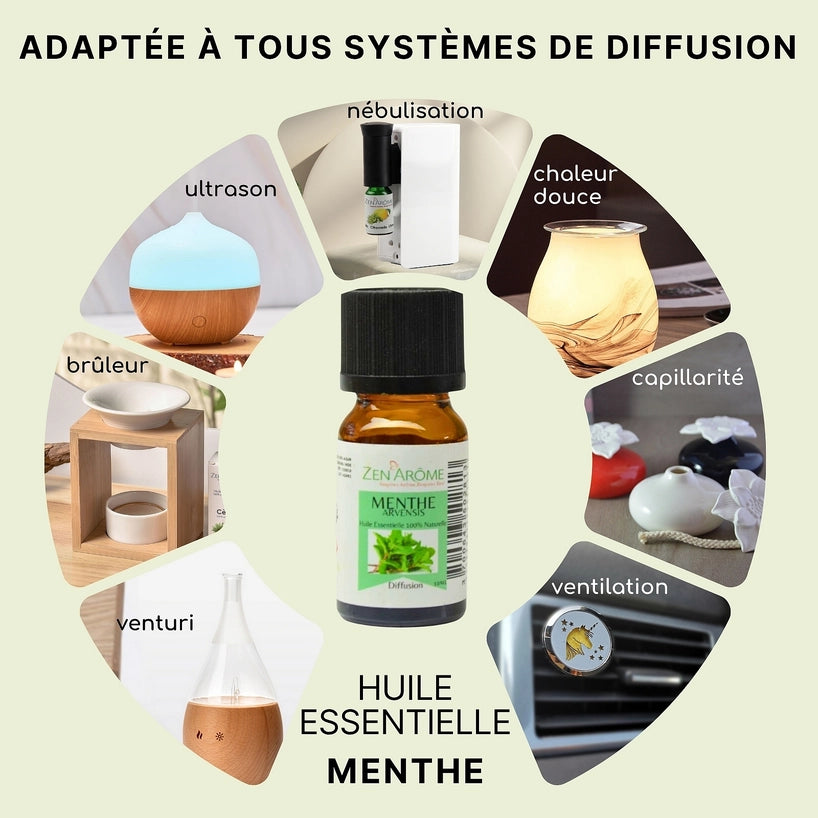 Huile Essentielle Menthe Arvensis — 100% Naturelle — 10ml