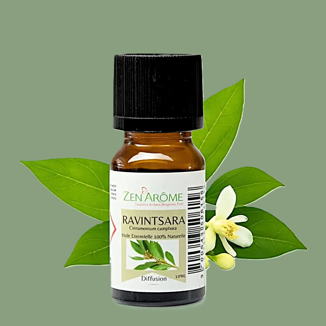 Huile Essentielle Ravintsara — 100% Naturelle — 10ml