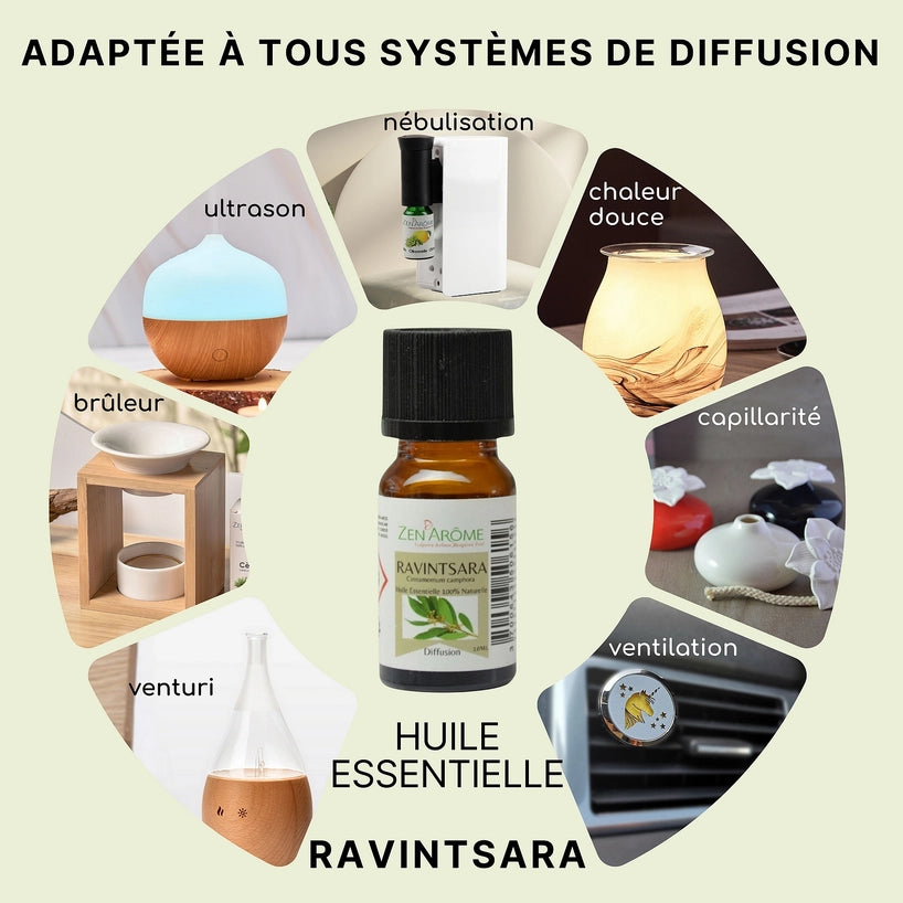 Huile Essentielle Ravintsara — 100% Naturelle — 10ml