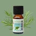 Huile Essentielle Romarin — 100% Naturelle — 10ml