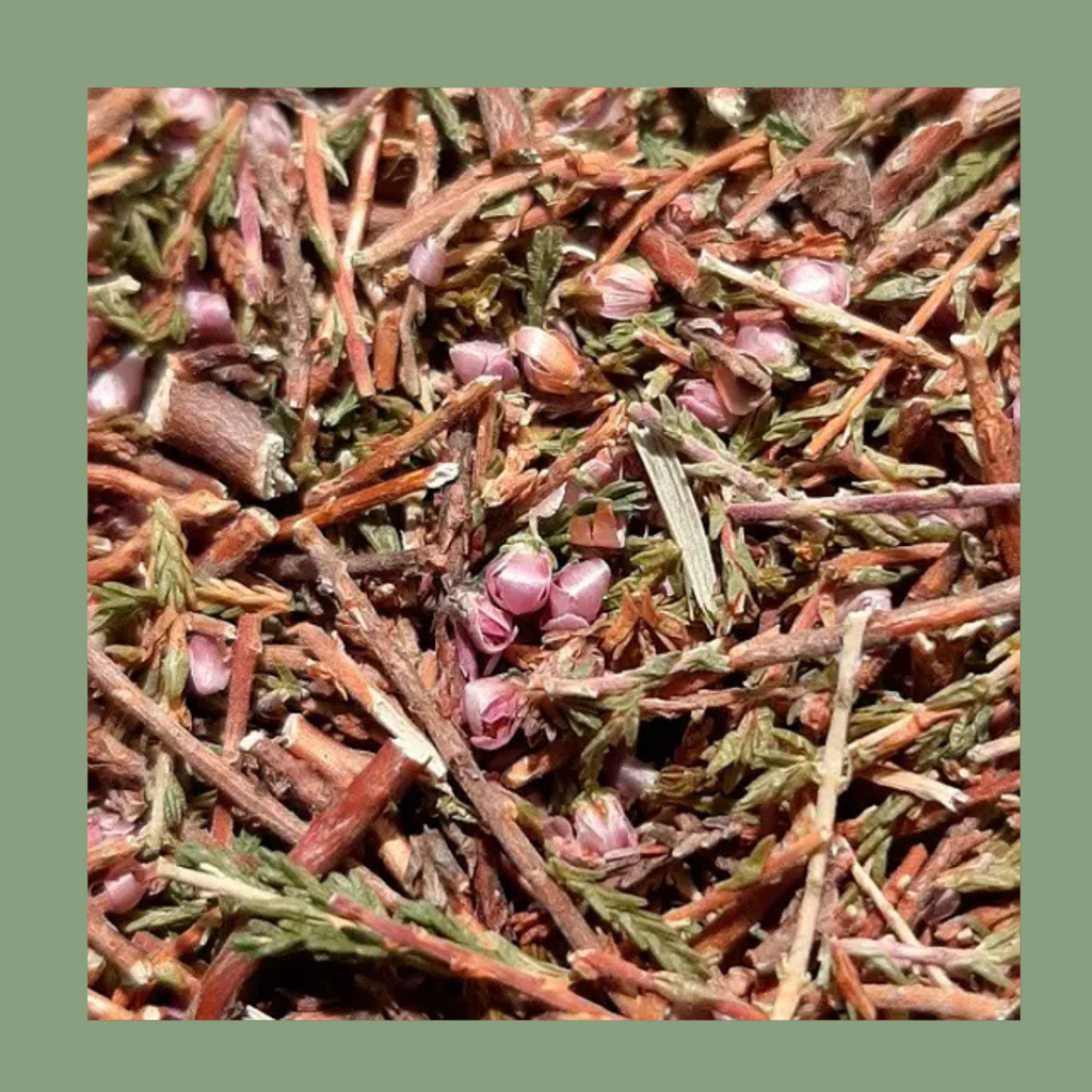 Infusion Bruyère Bio – Sommités fleuries (50 g)