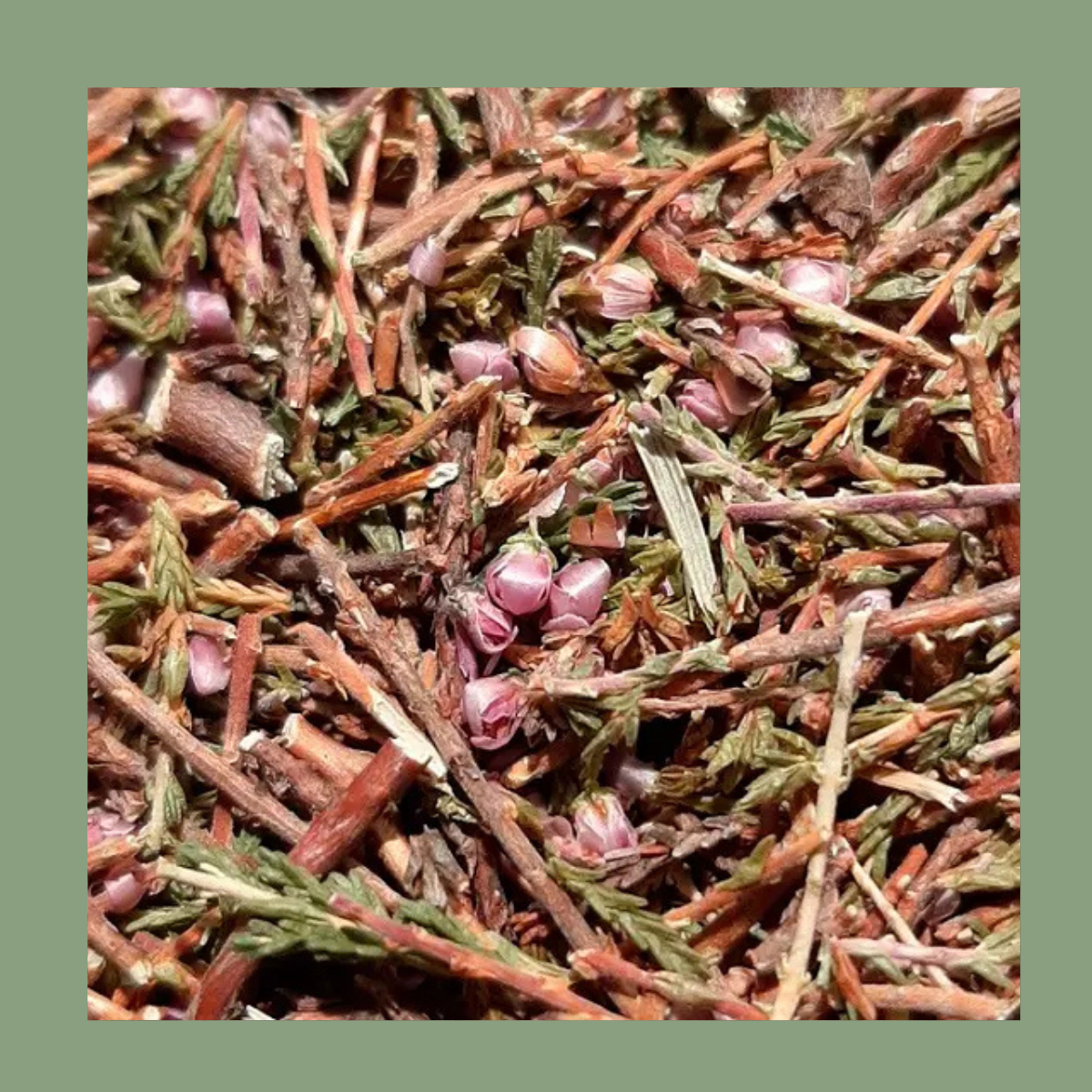 Infusion Bruyère Bio – Sommités fleuries (50 g)