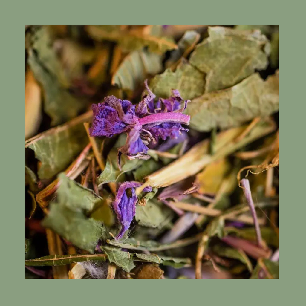 Infusion Épilobe Bio – Partie Aérienne (30 g)