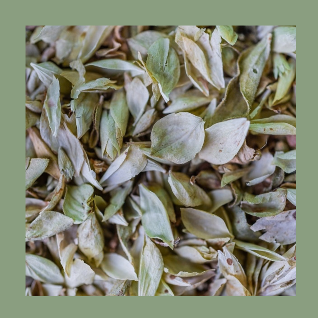 Infusion Origan Bio – Feuilles d’origan (40 g)