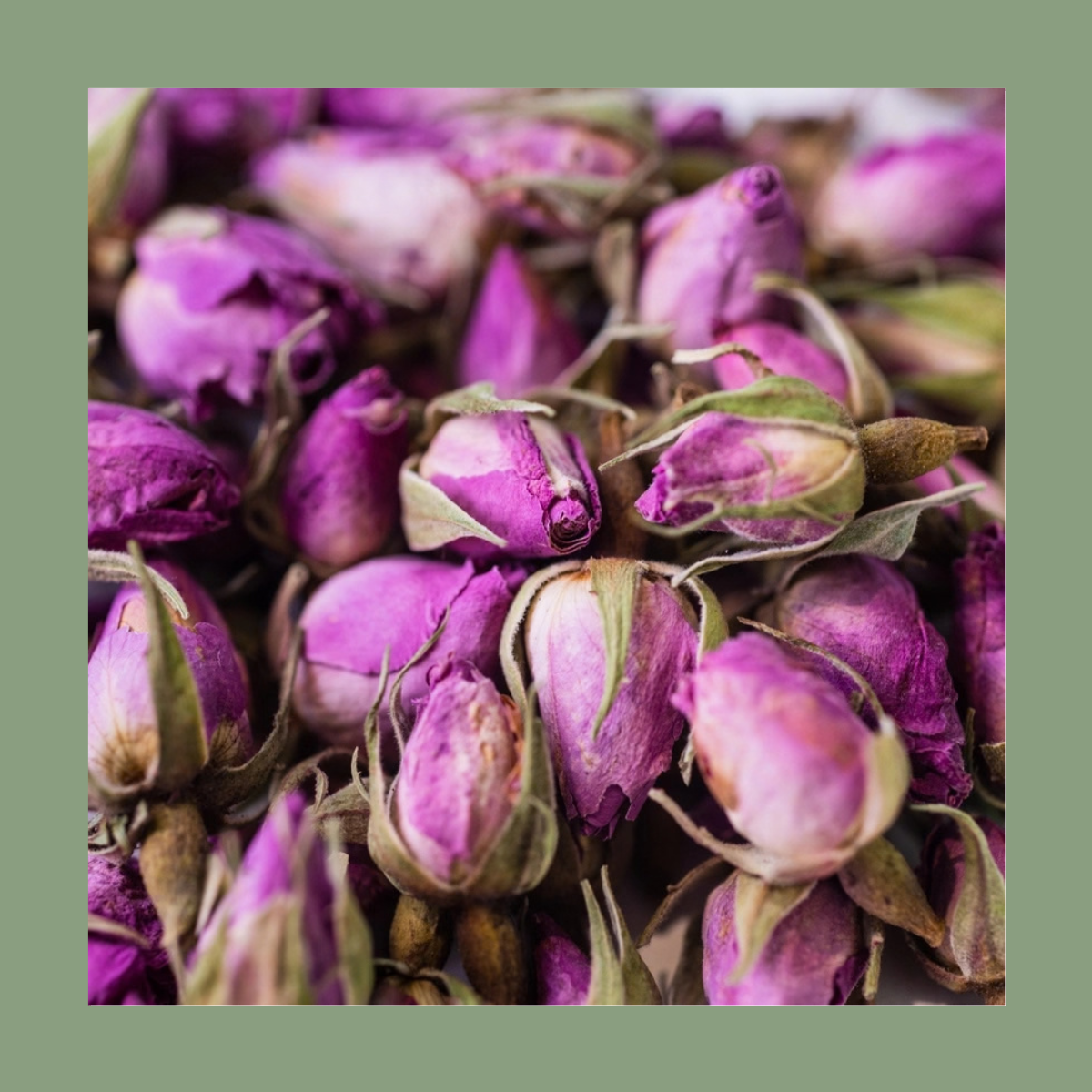 Infusion Rose de Damas Bio – Boutons de rose (20 g)