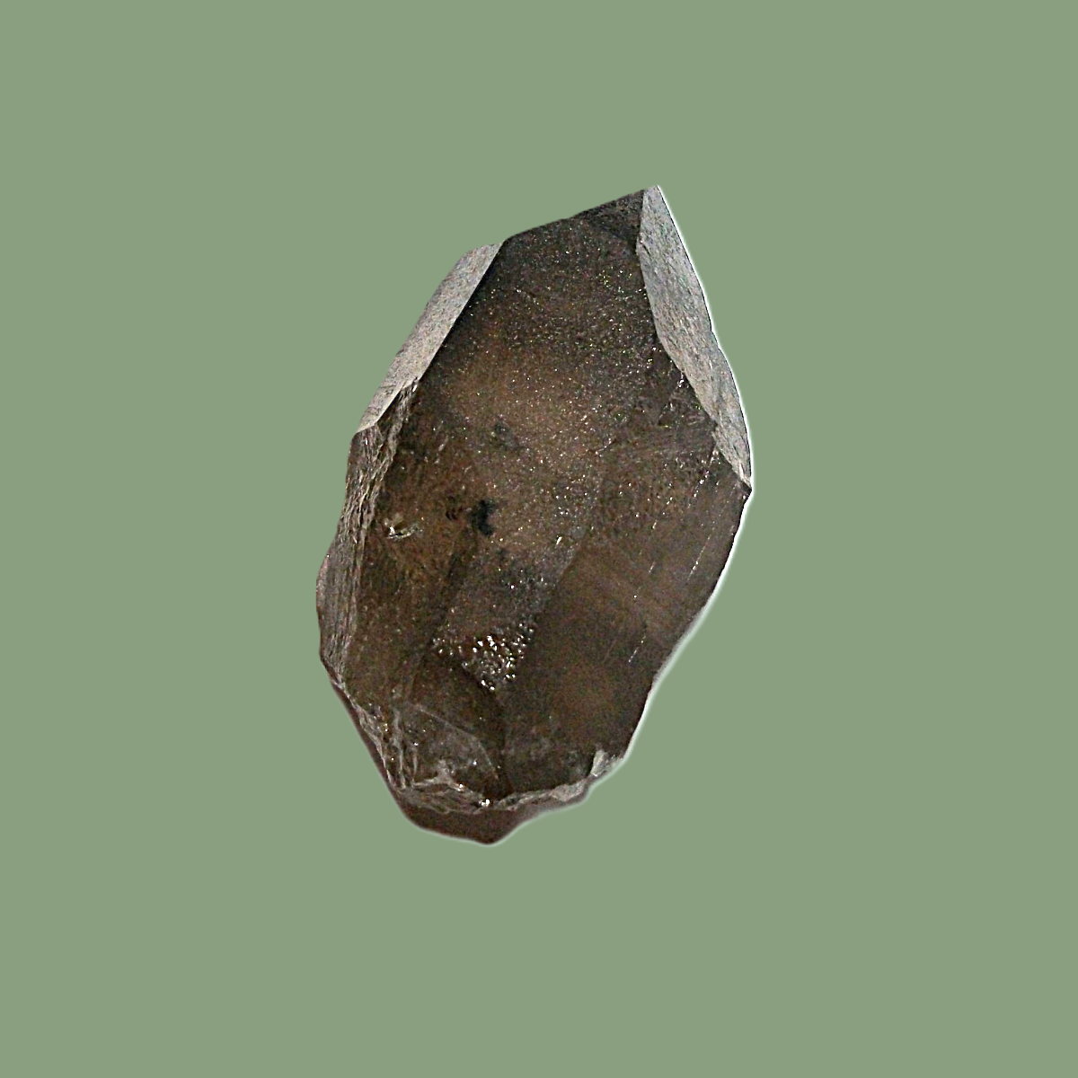 Quartz Fumé Sombre (Habitus Daupiné) – Massif de Chamonix