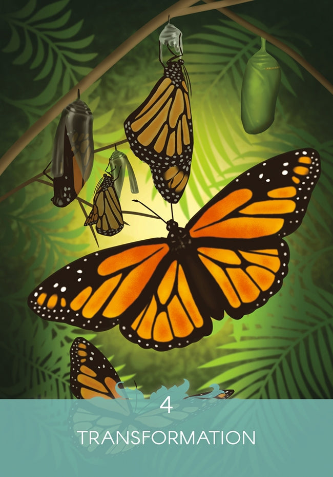 Oracle Chemin de vie – 44 cartes oracle