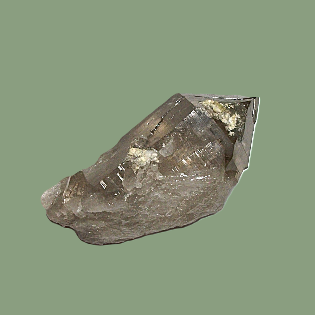 Quartz Fumé Habitus « Daupiné » & Adulaire – Massif de Chamonix