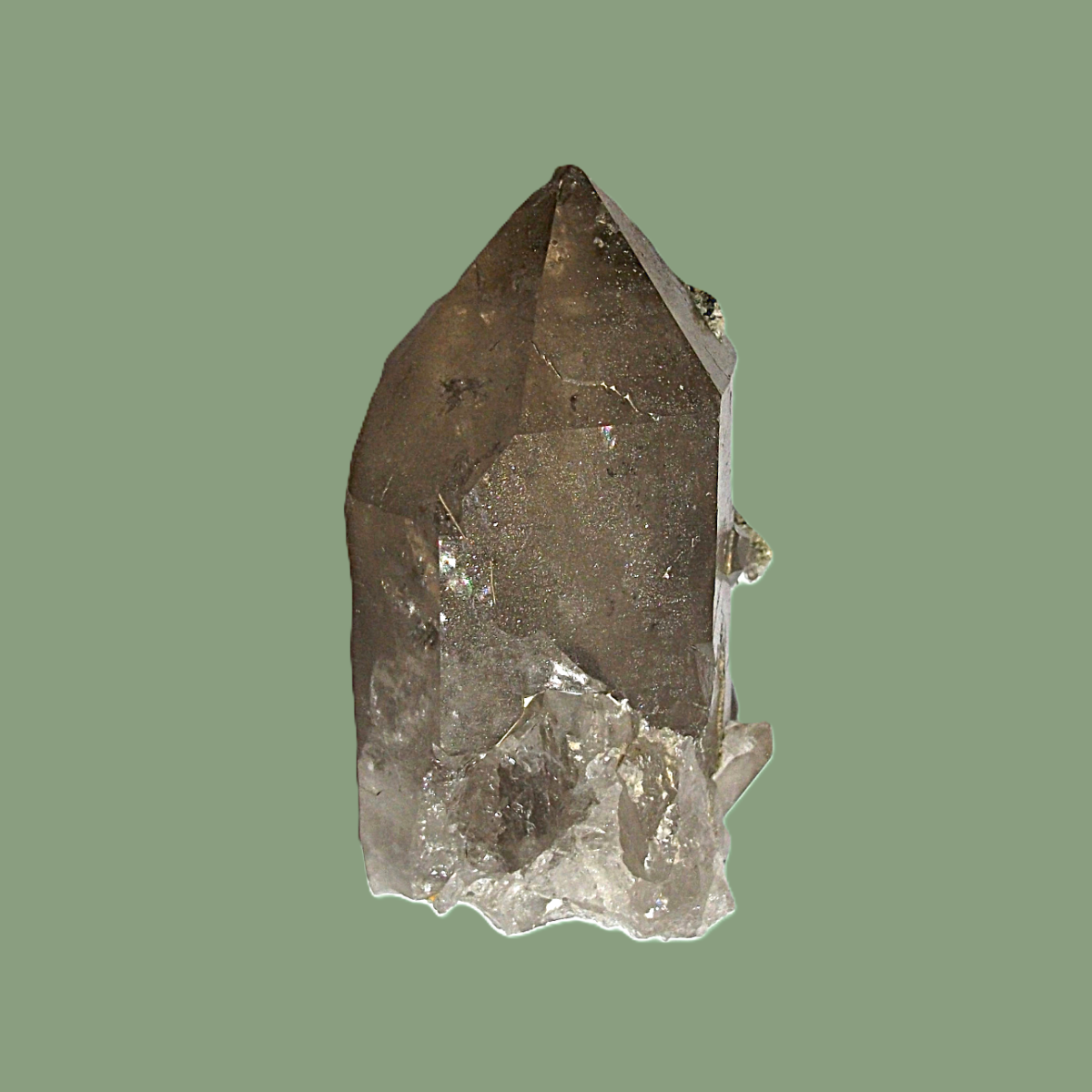 Quartz Fumé Habitus « Daupiné » & Adulaire – Massif de Chamonix