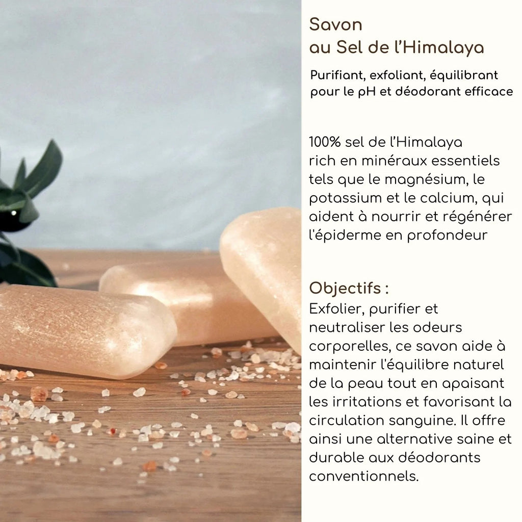 Bloc de Sel de l'Himalaya Purifiant – Forme Galet