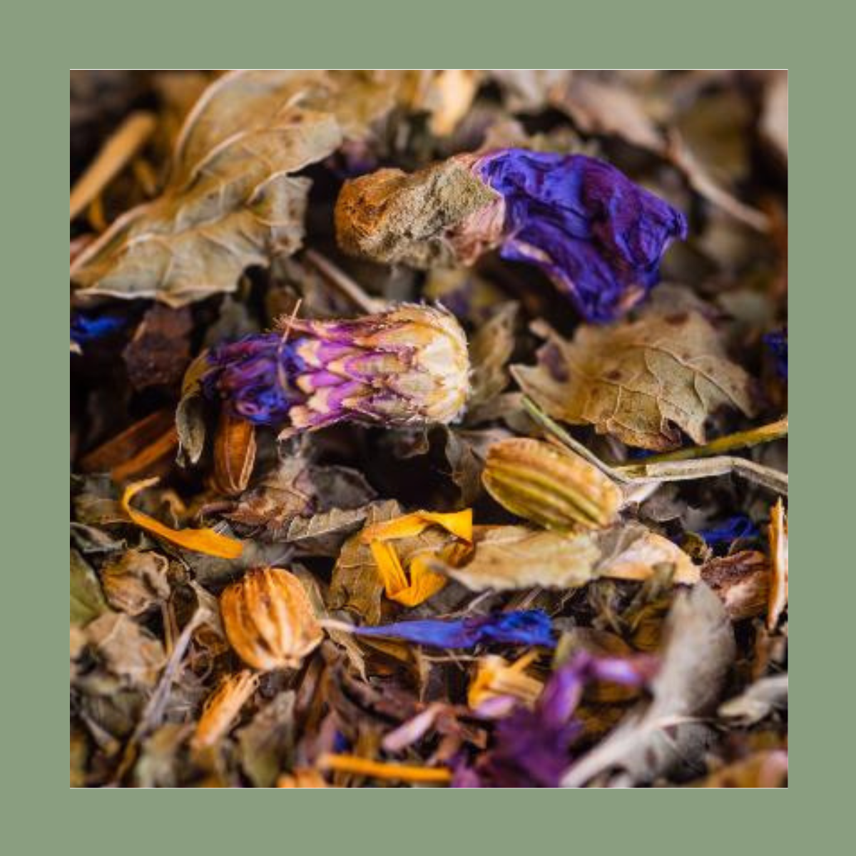 Tisane de la Famille Bio – Mélange de plantes (50 g)