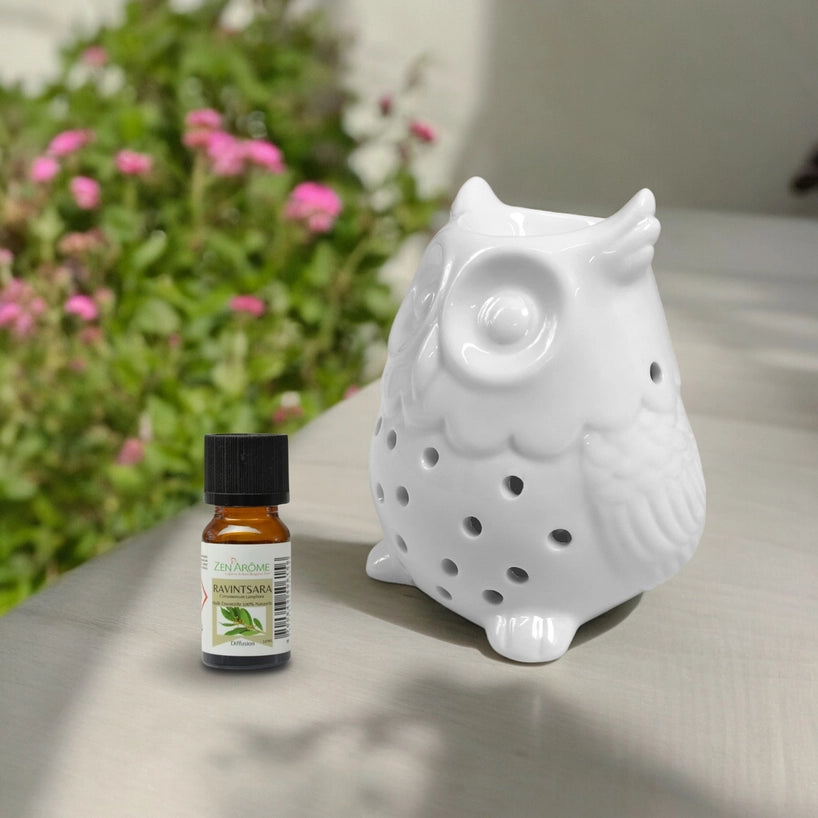Brûleur de Parfum en Céramique Hibou — Compatible Fondants