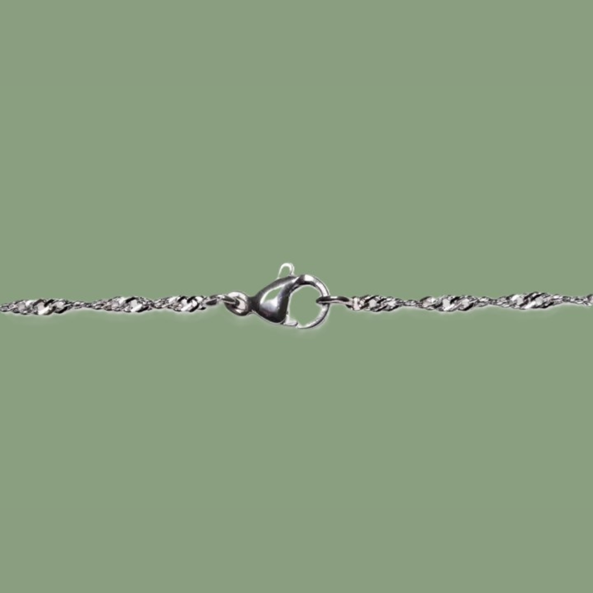 Chaîne en Acier Inoxydable Argenté