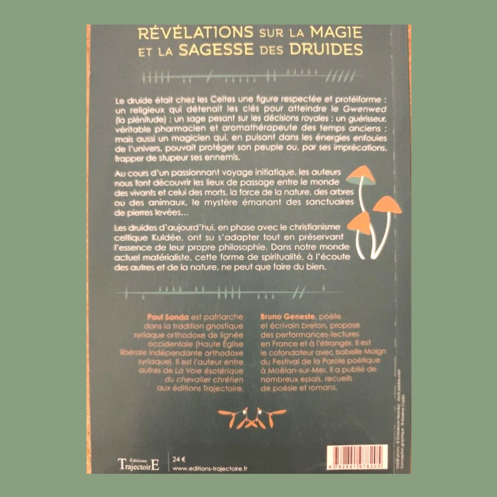 Révélations sur la magie et la sagesse des druides