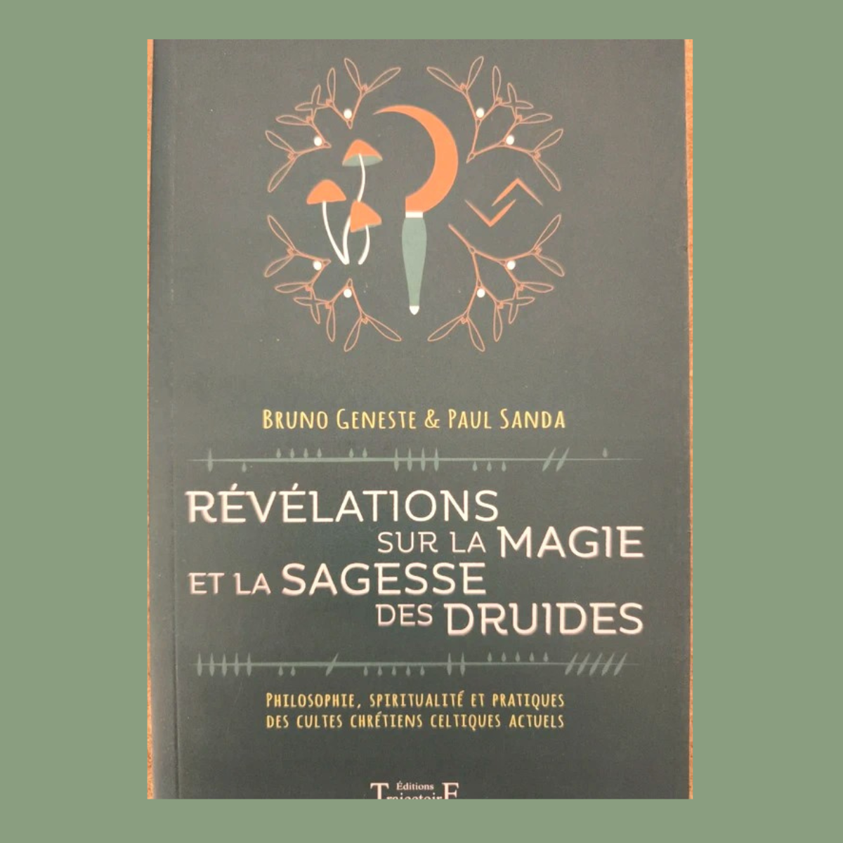 Révélations sur la magie et la sagesse des druides