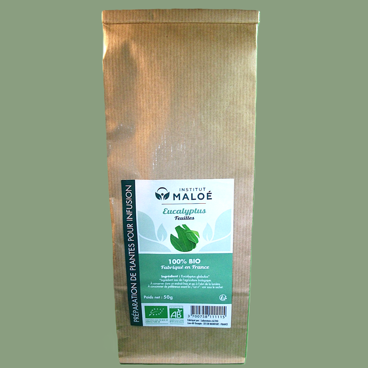 Plante Eucalyptus Bio — Sachet vrac 50g