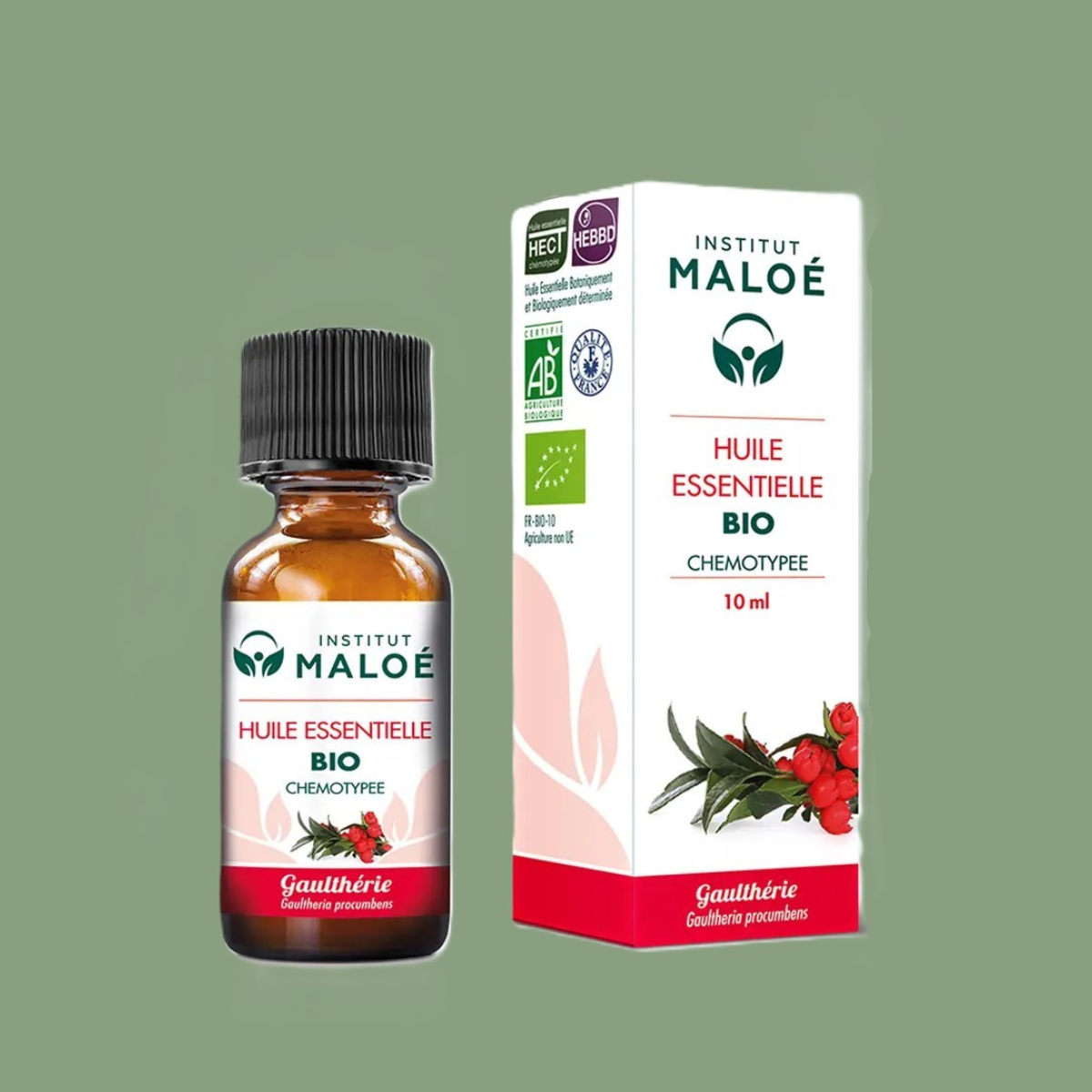 Huile Essentielle de Gaulthérie Odorante Bio – 10 mL