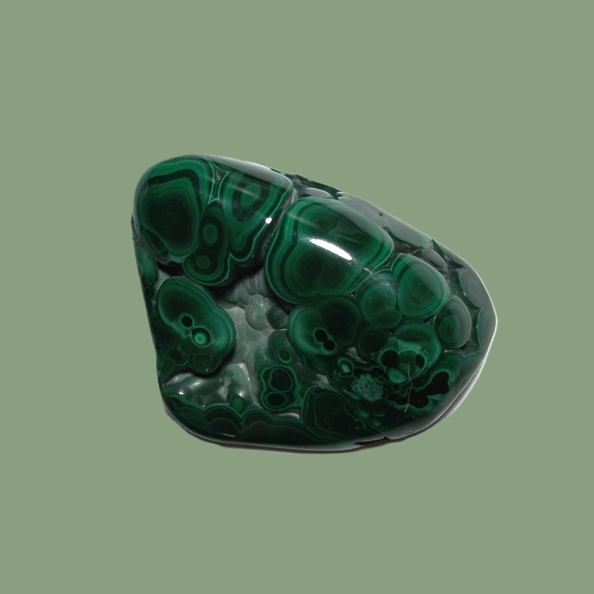 Malachite naturelle polie - Forme libre (Grade AA)
