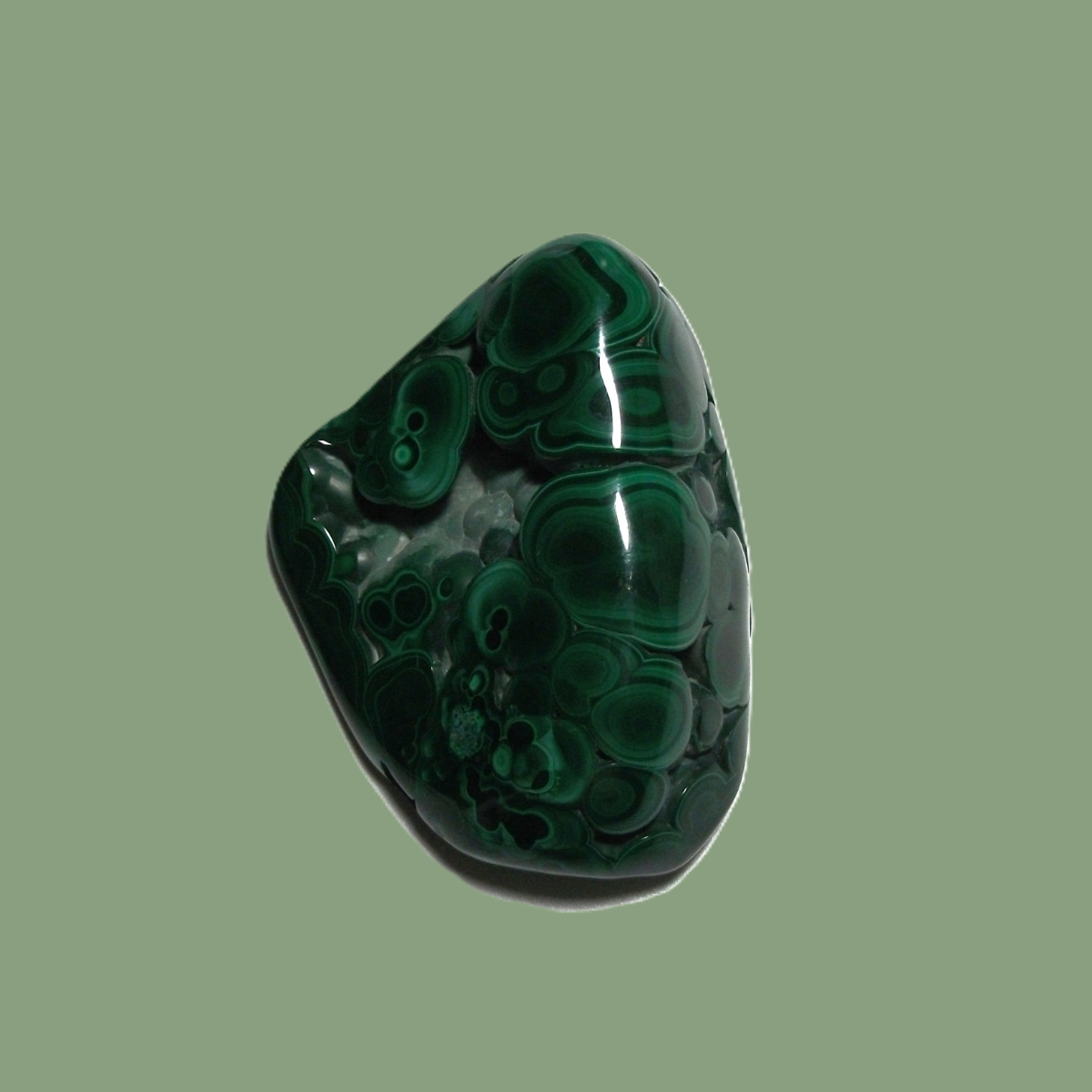 Malachite naturelle polie - Forme libre (Grade AA)