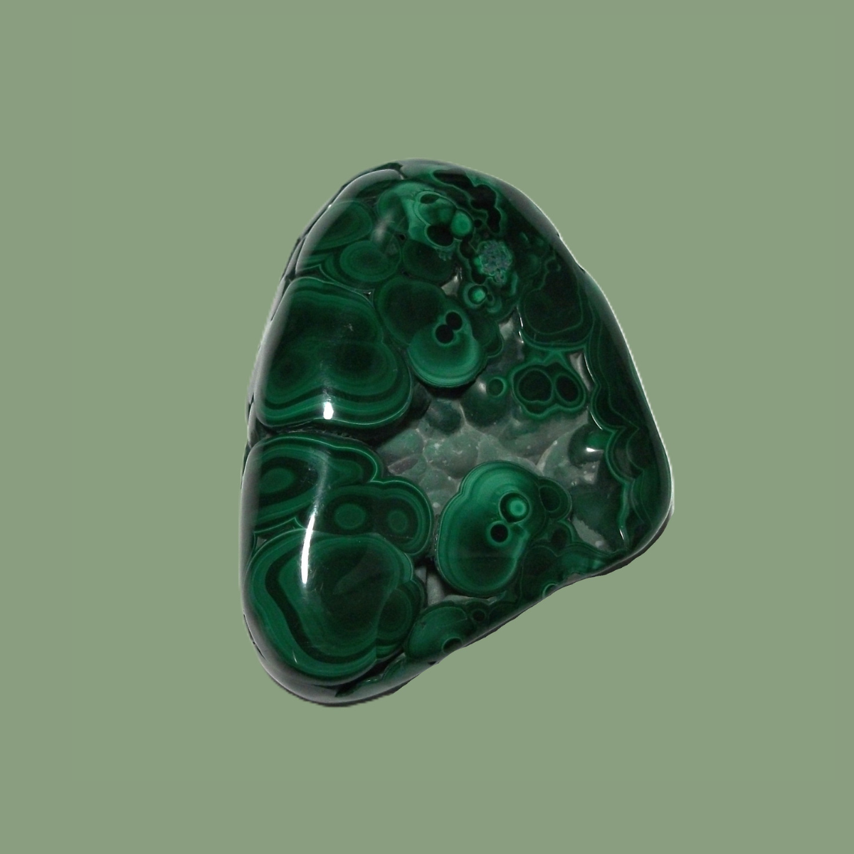 Malachite naturelle polie - Forme libre (Grade AA)