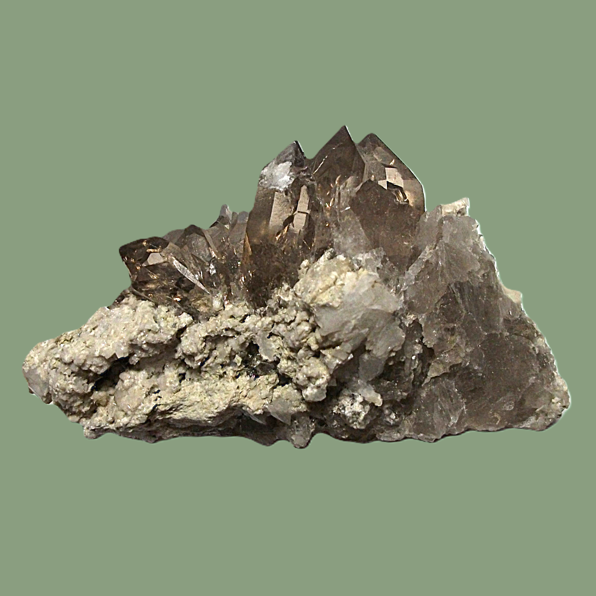 Groupe de Quartz Fumé sur Gangue avec Chlorite & Adulaire – Massif de Chamonix