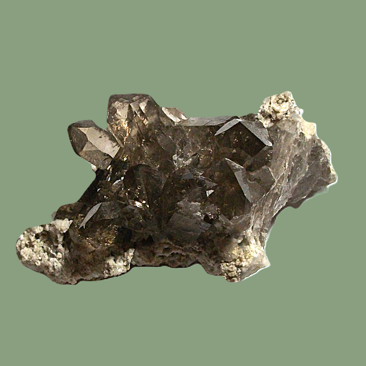 Groupe de Quartz Fumé sur Gangue avec Chlorite & Adulaire – Massif de Chamonix