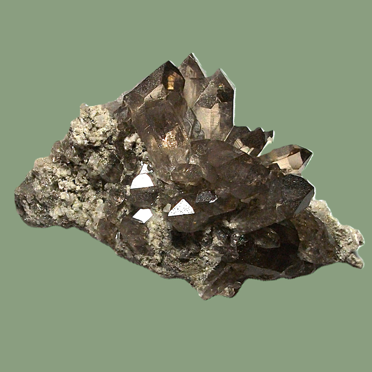 Groupe de Quartz Fumé sur Gangue avec Chlorite & Adulaire – Massif de Chamonix
