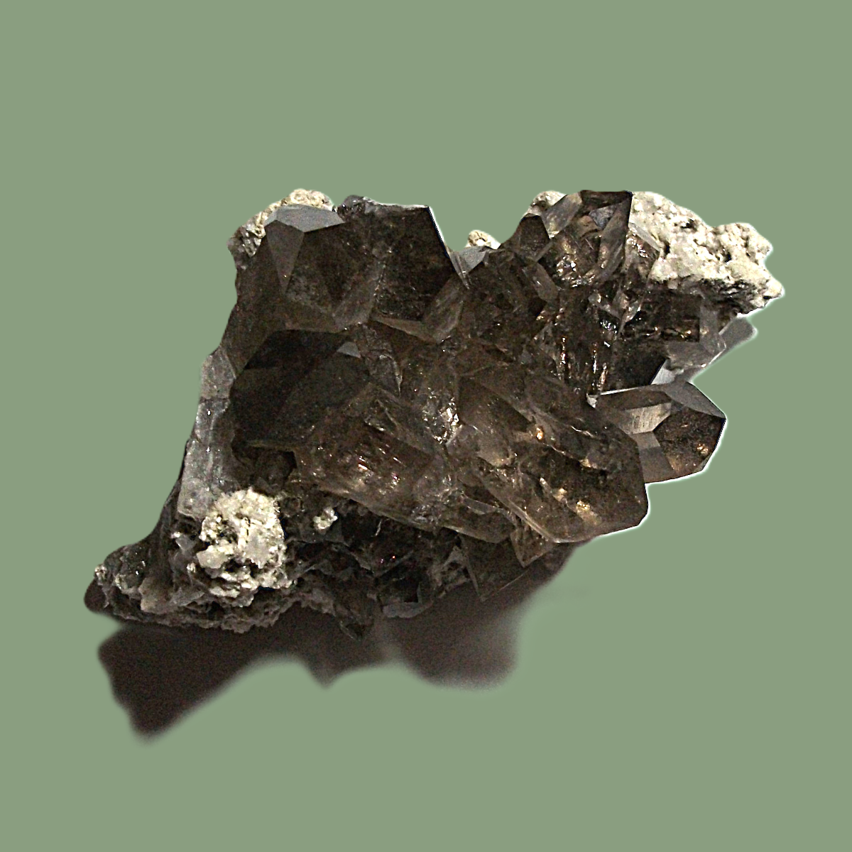 Groupe de Quartz Fumé sur Gangue avec Chlorite & Adulaire – Massif de Chamonix
