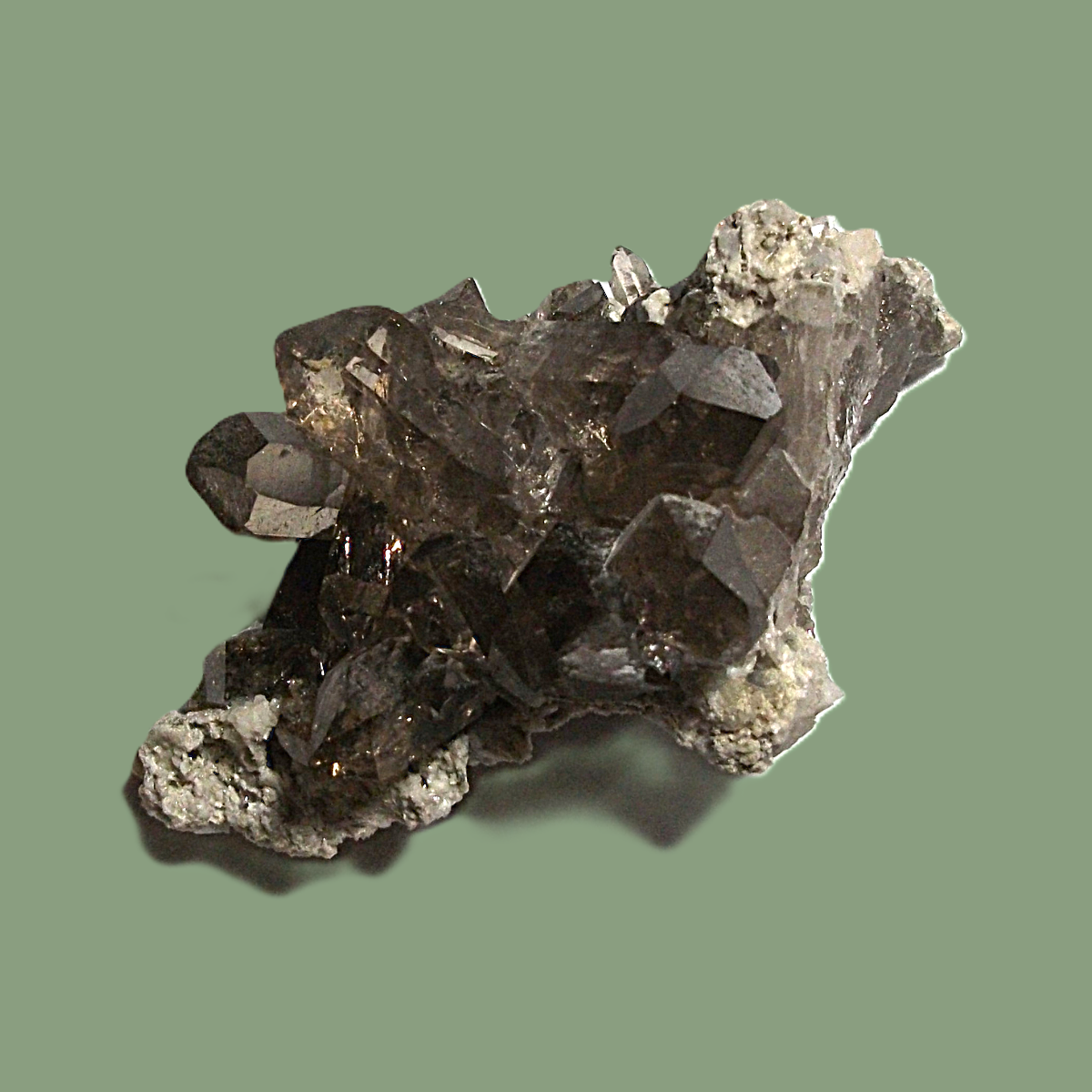 Groupe de Quartz Fumé sur Gangue avec Chlorite & Adulaire – Massif de Chamonix