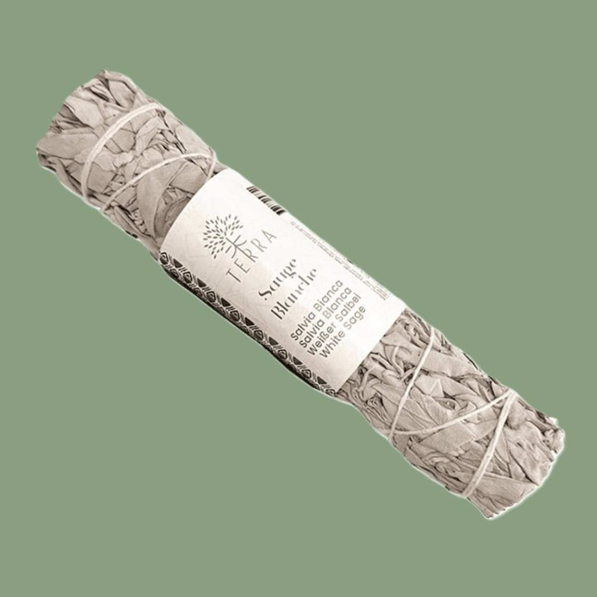 Grand Fagot de Sauge Blanche de Californie