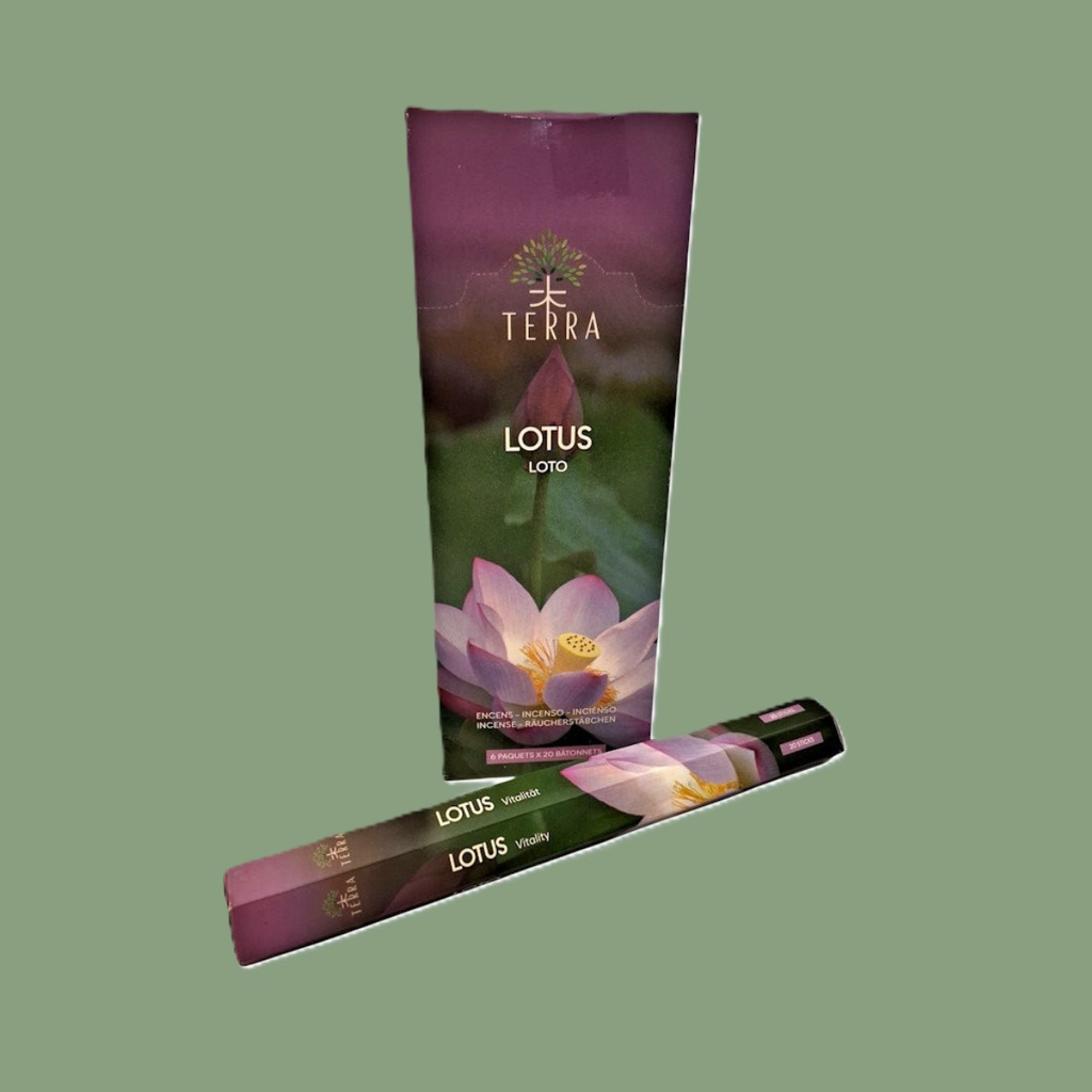 Encens Naturel Sans Charbon Hexa « Lotus » – Terra