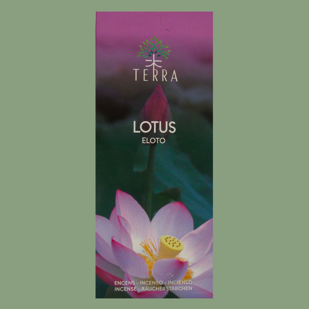 Encens Naturel Sans Charbon Hexa « Lotus » – Terra