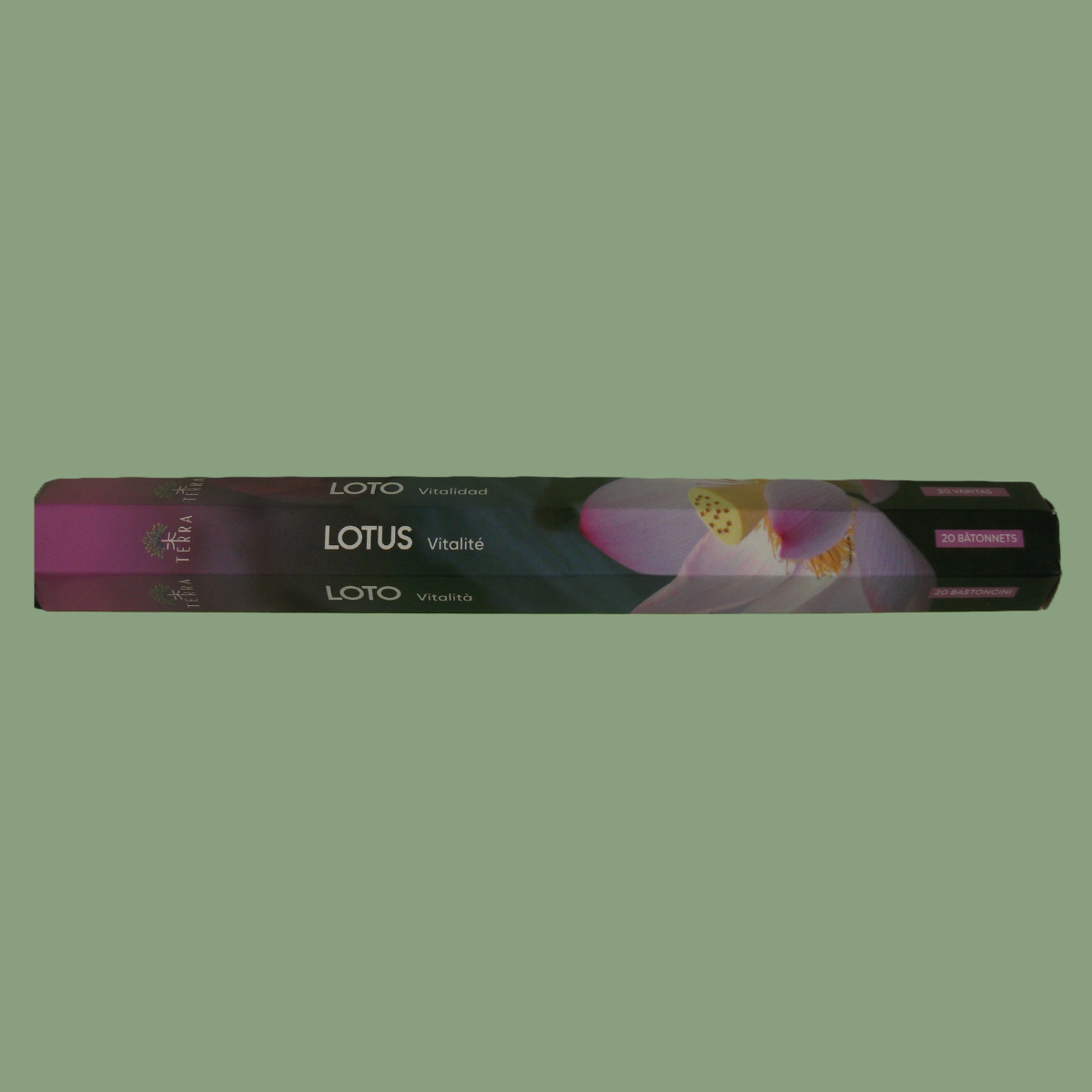 Encens Naturel Sans Charbon Hexa « Lotus » – Terra